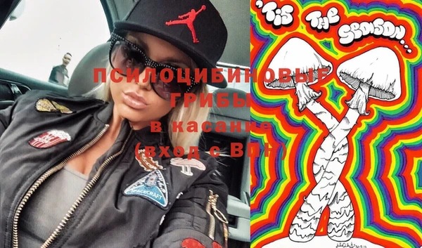 соль курить ск Каменка