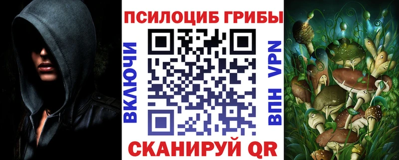 Галлюциногенные грибы Psilocybine cubensis  Купить закладки  Рудня 